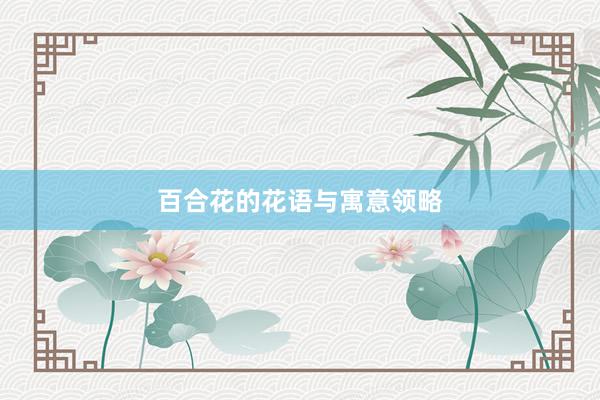 百合花的花语与寓意领略