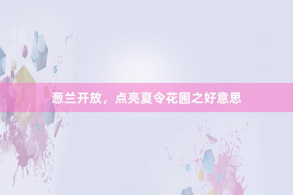 葱兰开放,点亮夏令花圃之好意思