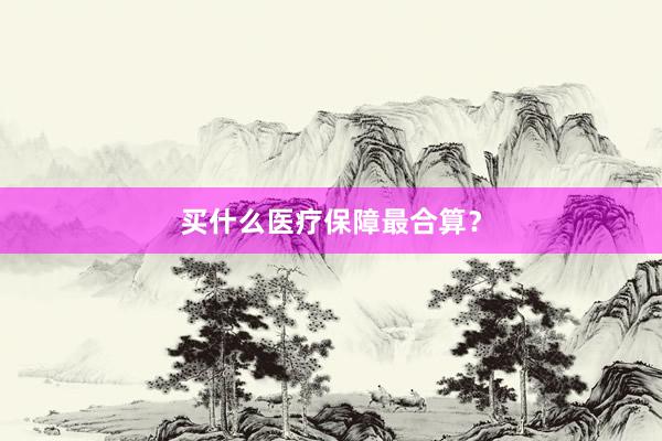 买什么医疗保障最合算？