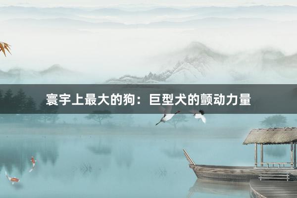 寰宇上最大的狗:巨型犬的颤动力量