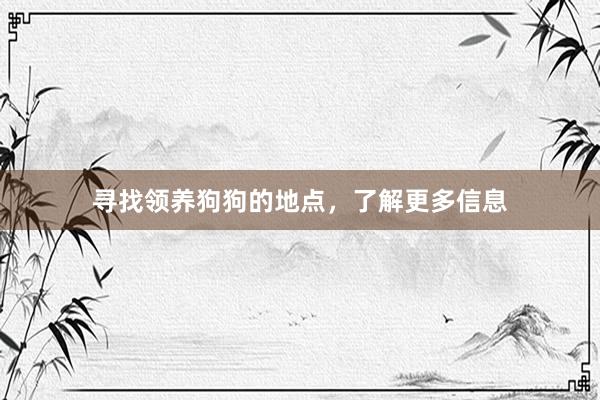 寻找领养狗狗的地点，了解更多信息